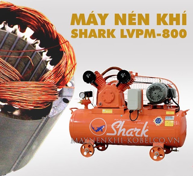Máy nén khí Shark 3HP LVPM-800