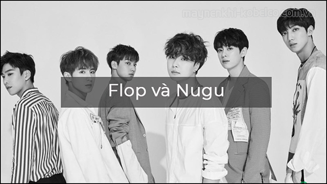 Flop và Nugu là hai thuật ngữ đồng nghĩa trong lĩnh vực Kpop